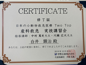 日本の小動物緊急医療　Two Top　産科救急 実技講習会