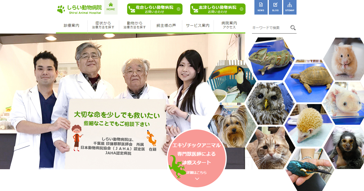 公式 千葉の志津 佐倉しらい動物病院 大切なペットの健康をサポート